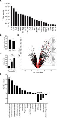 Differential Contribution of NF-κB Signaling Pathways to CD4+ Memory T Cell Induced Activation of Endothelial Cells